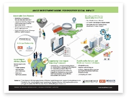 Click to enlarge the OZ Investment Model